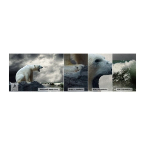 Prøve Fototapet Premium Sand - Den ensomme konge af Arktis - Dyr, Isbjørn, Ocean - 100x30 cm