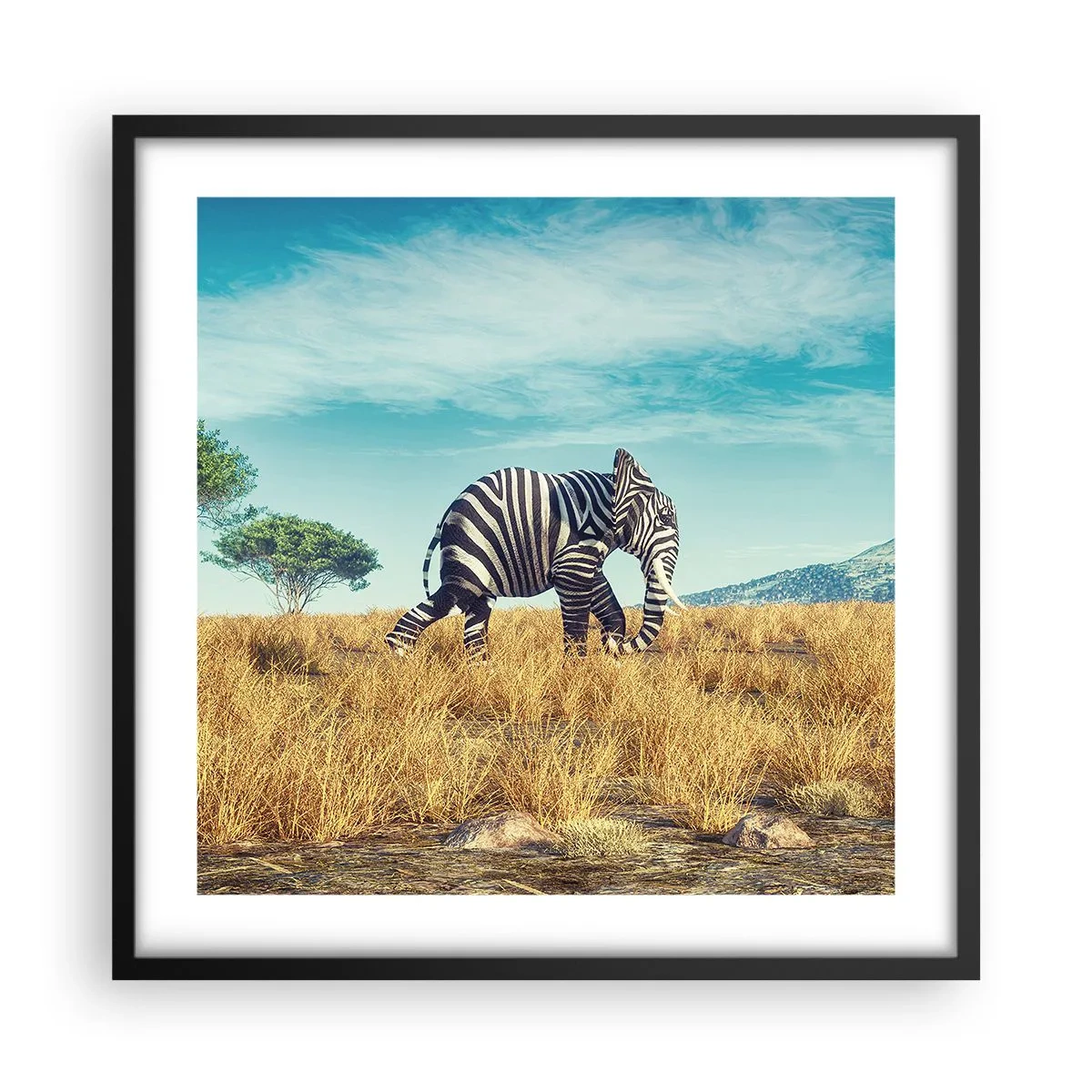 Plakat i sort ramme - Grå er ikke længere på mode - 50x50 cm