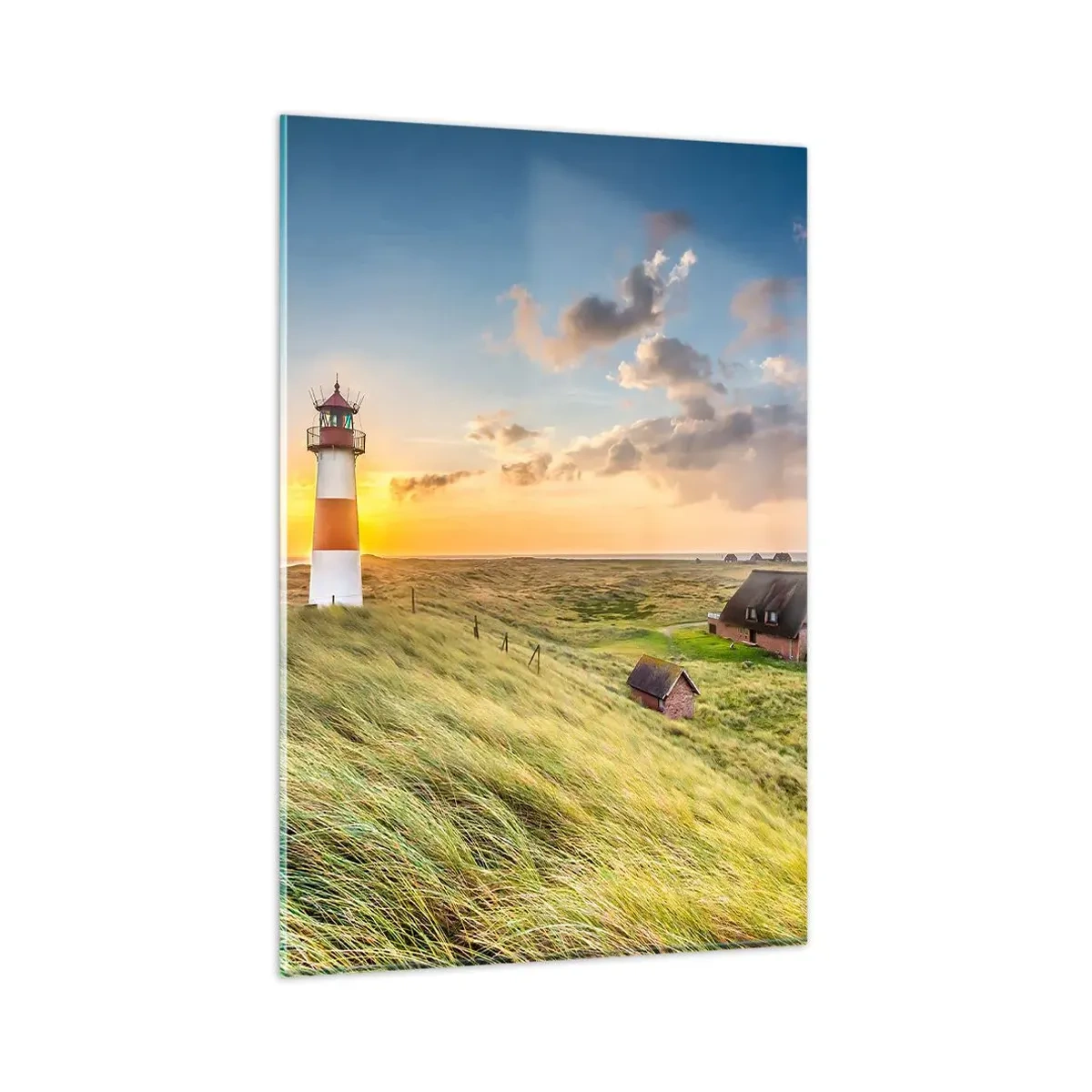 Billede på glas - Mellem bølgerne - 80x120 cm