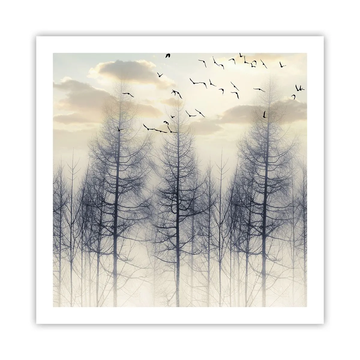 Plakat - Skovånder - 60x60 cm