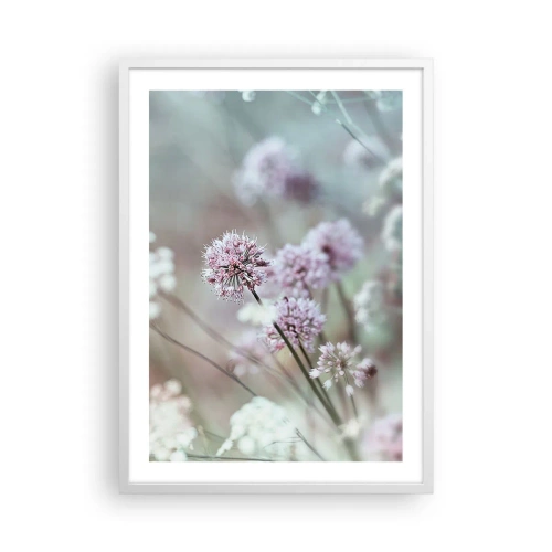 Plakat i hvid ramme - Søde filigranurter - 50x70 cm