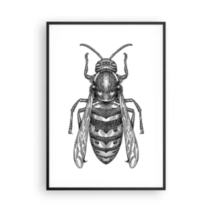 Plakat i sort ramme - Fra en insektplanet - 70x100 cm
