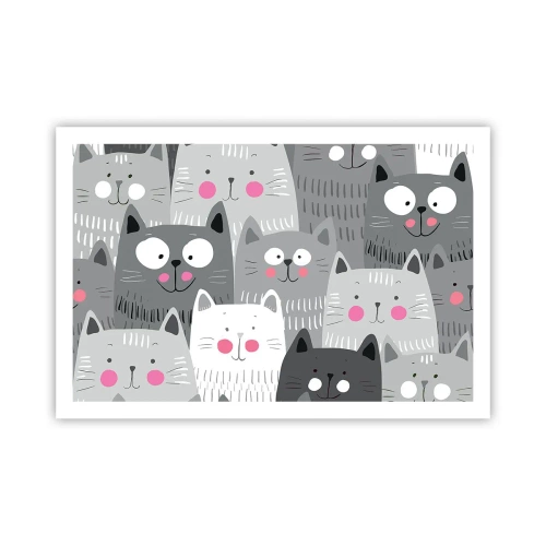 Plakat - Kattens verden - 91x61 cm