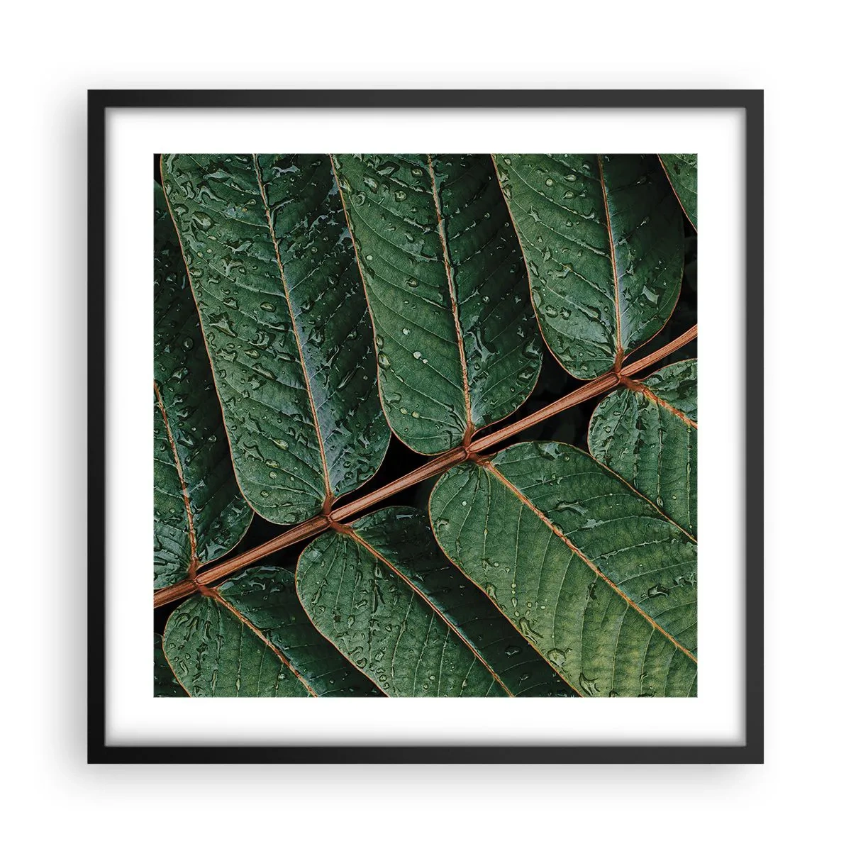 Plakat i sort ramme - I en grøn rytme - 50x50 cm