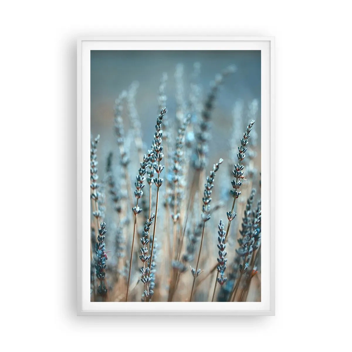 Plakat i hvid ramme - Duftende plet - 70x100 cm