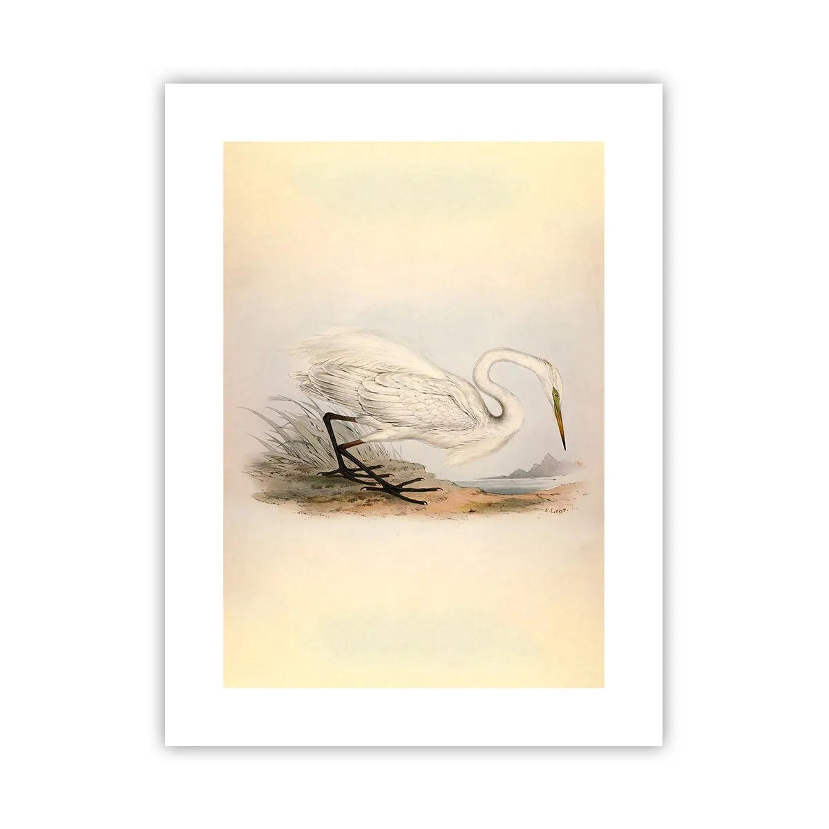 Plakat - Dame på sivene - 30x40 cm
