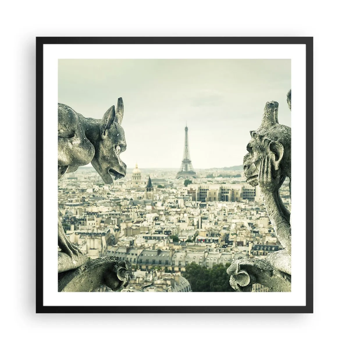 Plakat i sort ramme - Parisisk chat - 60x60 cm