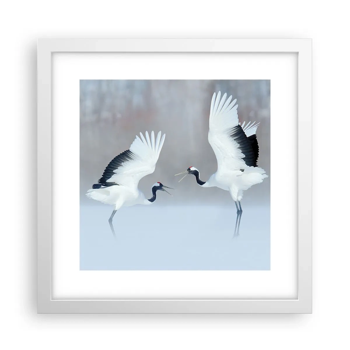 Plakat i hvid ramme - Danser i tågen - 30x30 cm
