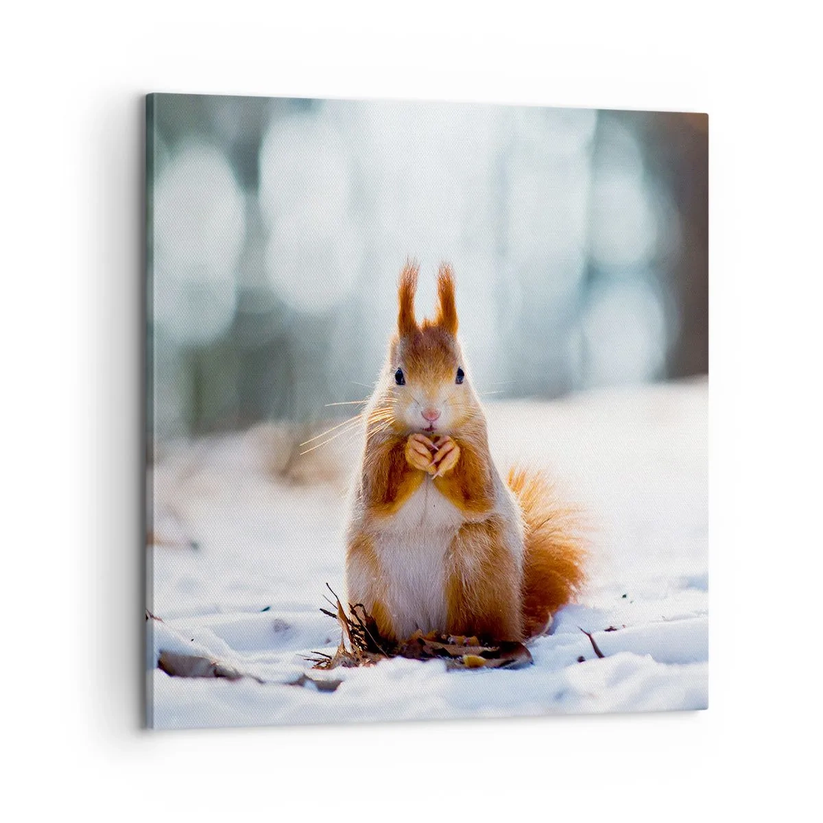 Lærredstryk - Billede på lærred - Og hvad kigger du på? - 60x60 cm