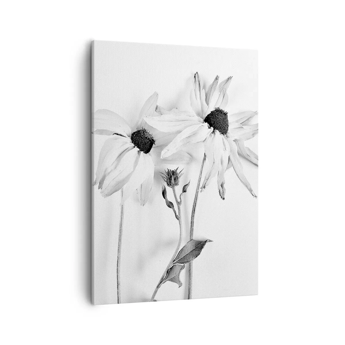 Lærredstryk - Billede på lærred - Ingen ønsker at være alene - 50x70 cm