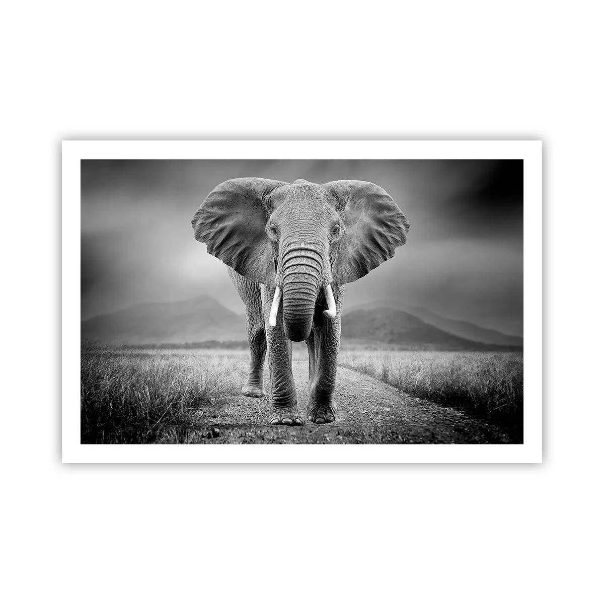 Plakat - Værten byder velkommen til - 91x61 cm