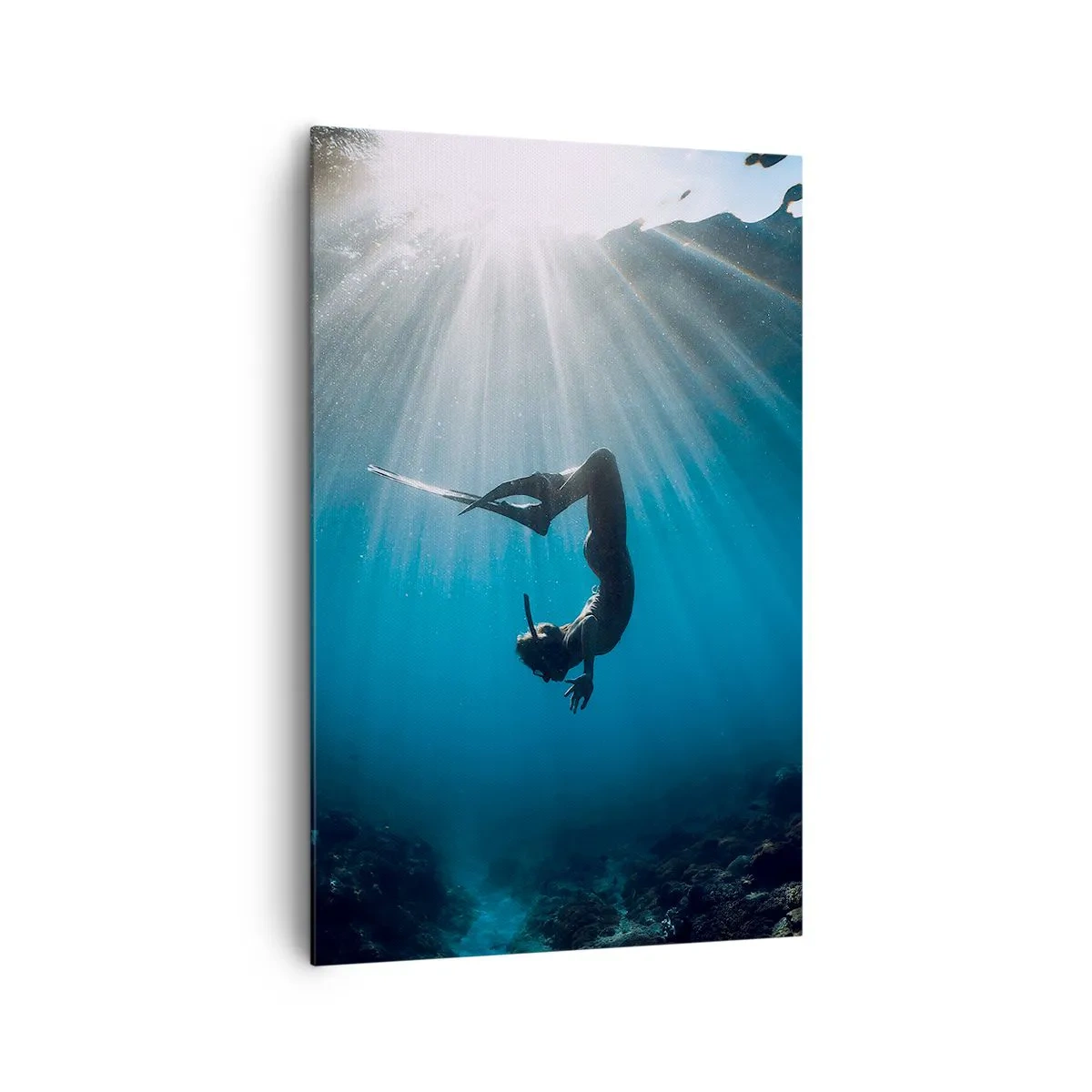 Lærredstryk - Billede på lærred - Undervandsdans - 80x120 cm