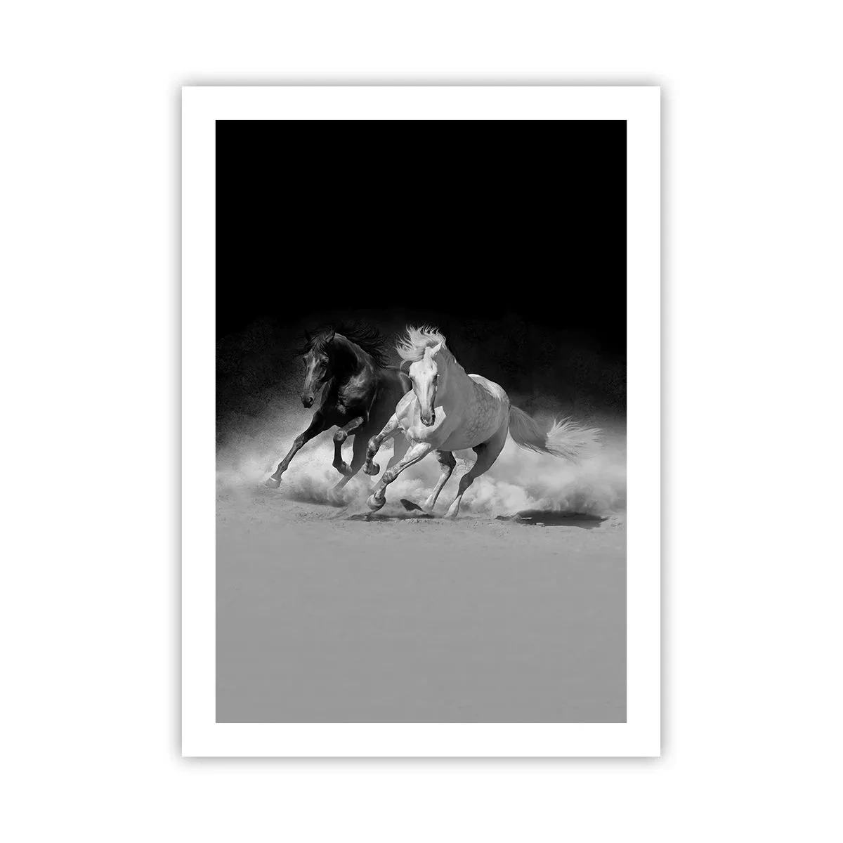 Plakat - Frihedens galop - 50x70 cm