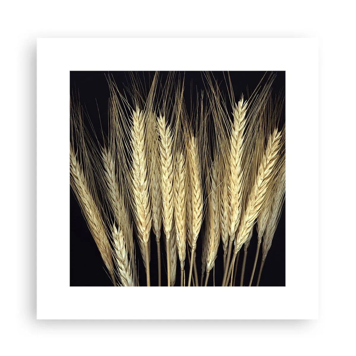 Plakat - Rustik magi - 30x30 cm