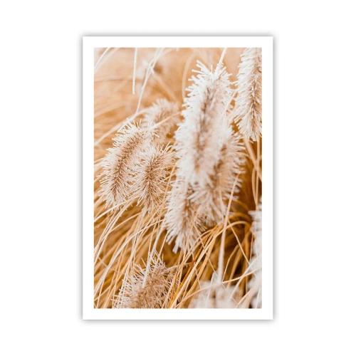 Plakat - Gyldent susen af græsser - 61x91 cm