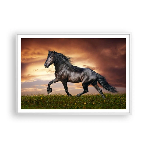 Plakat i hvid ramme - Sort prins - 100x70 cm