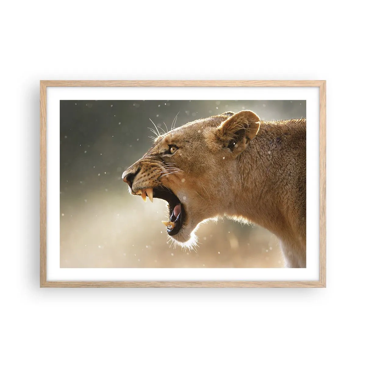 Plakat i ramme af lyst egetræ - Prøv ikke at lytte - 70x50 cm