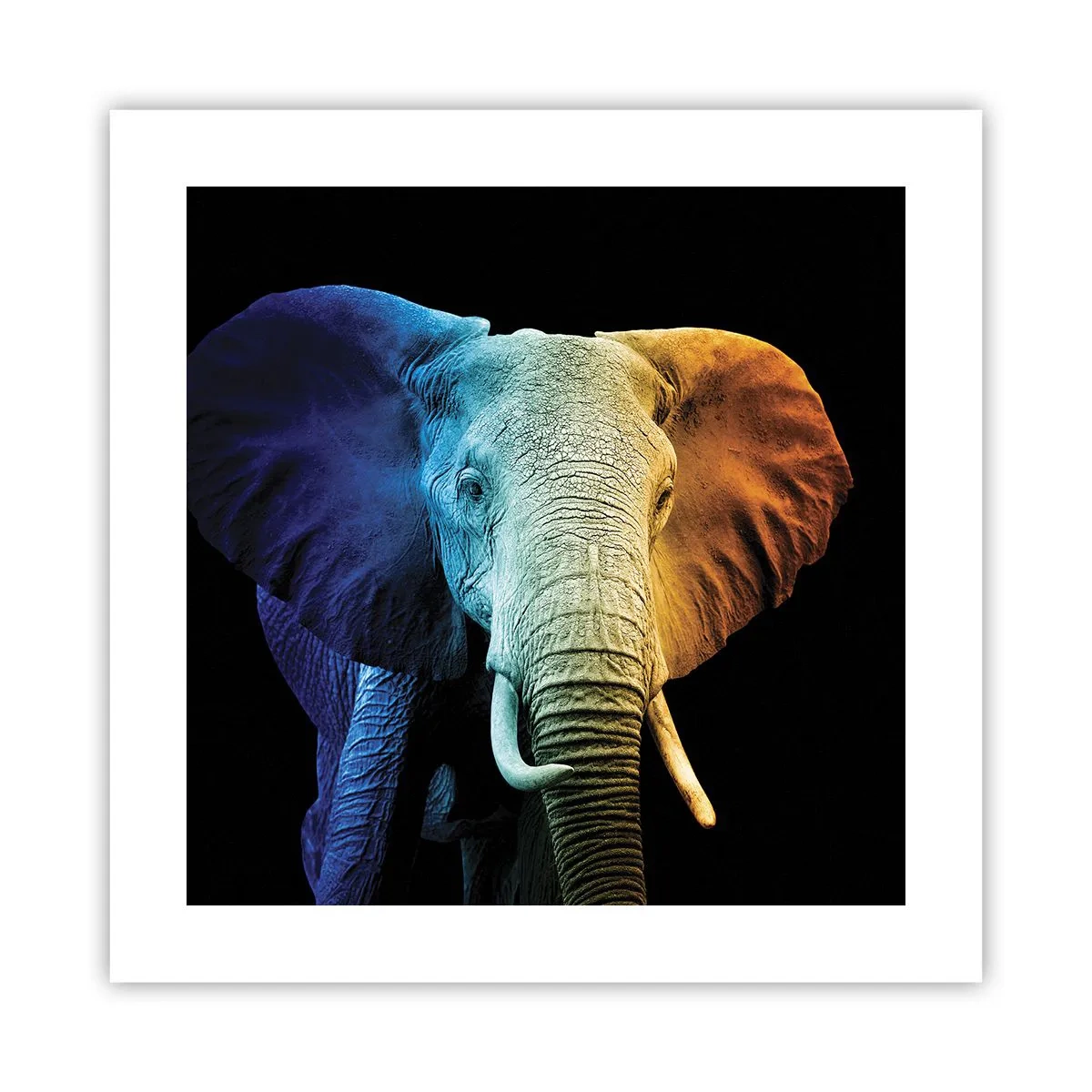 Plakat - Excentrisk, ikke underlig - 40x40 cm