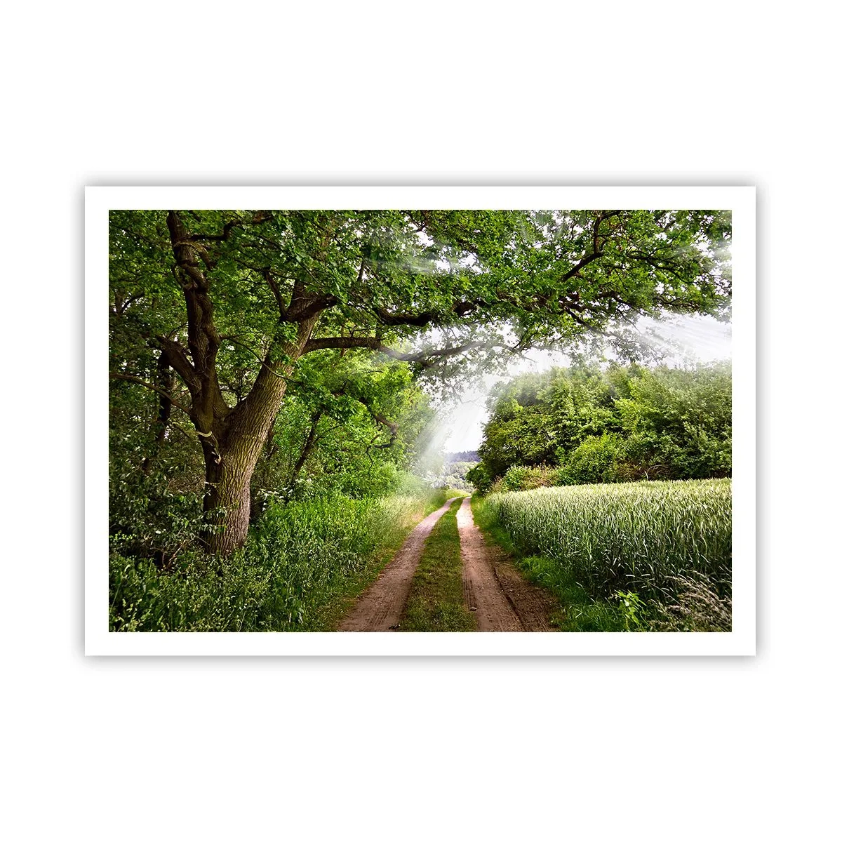 Plakat - Et in Arcadia ego - 100x70 cm