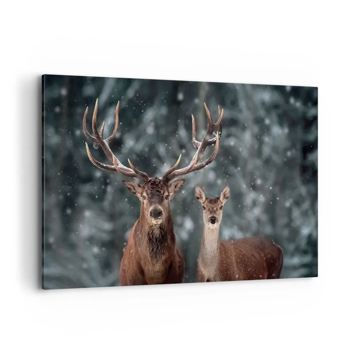 Lærredstryk - Billede på lærred - Skovens herre og hans kone - 120x80 cm