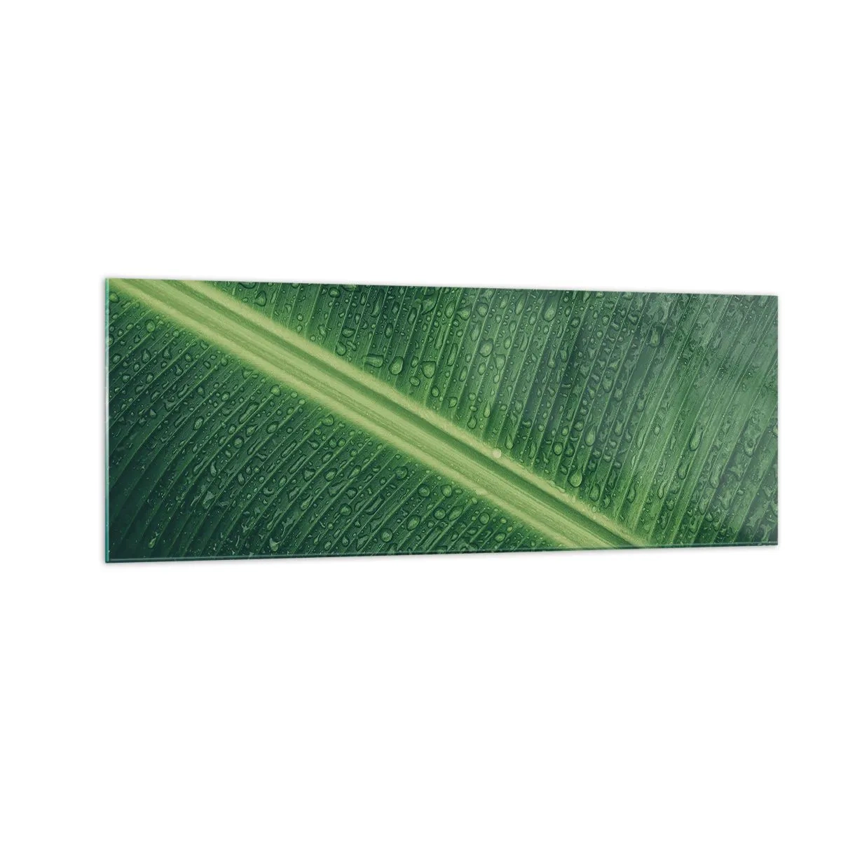 Billede på glas - Grøn struktur - 140x50 cm