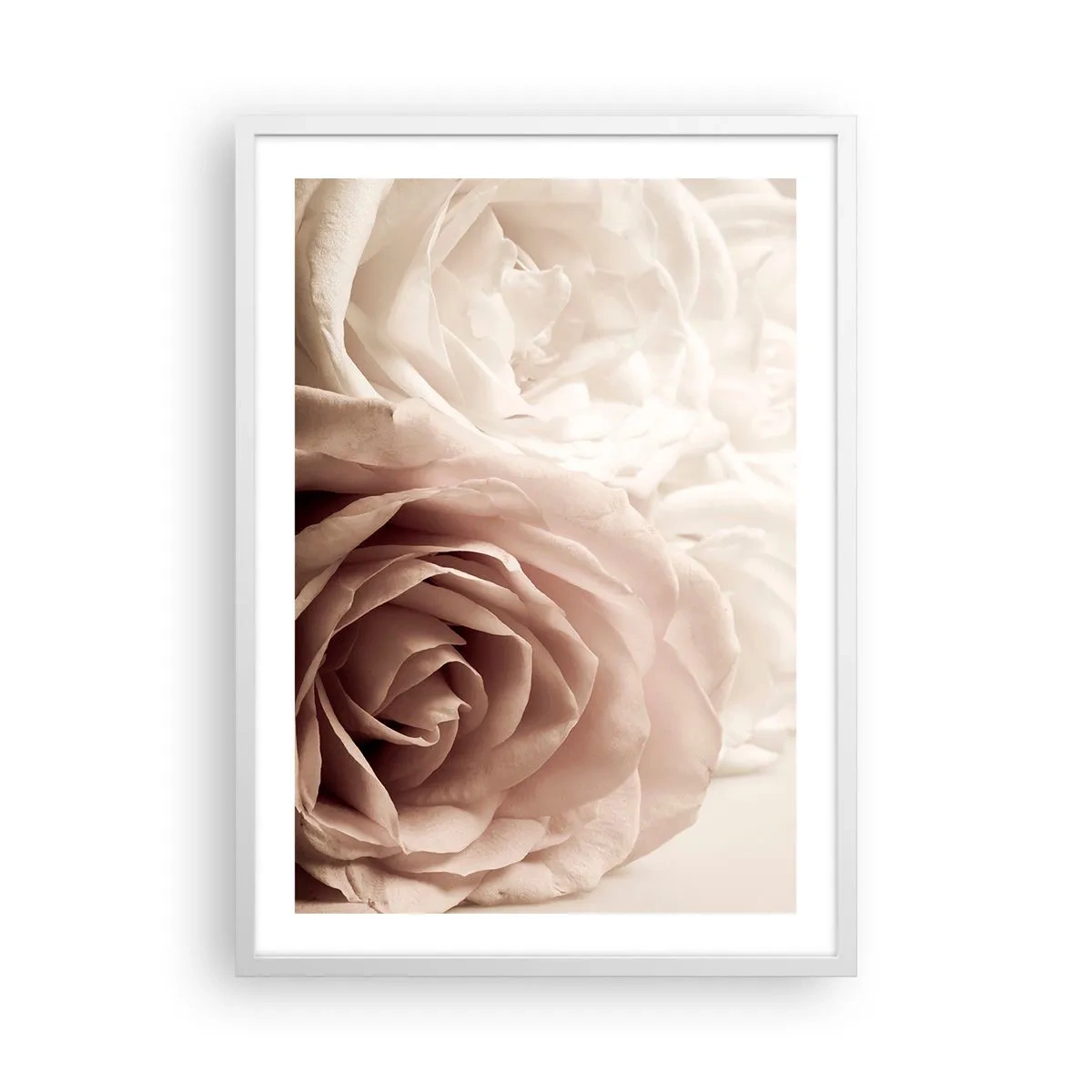 Plakat i hvid ramme - I rosens hjerte - 50x70 cm