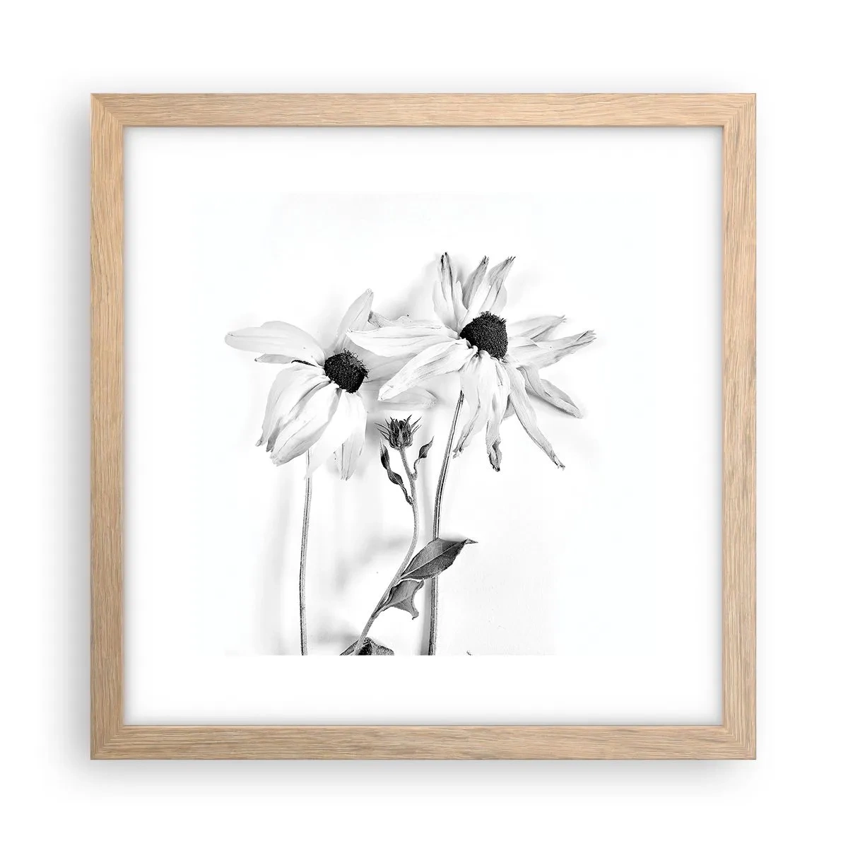 Plakat i ramme af lyst egetræ - Ingen ønsker at være alene - 30x30 cm