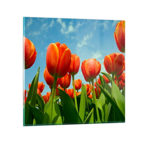 Billede på glas - Bortset fra den blå himmel behøver de intet i livet - 70x70 cm