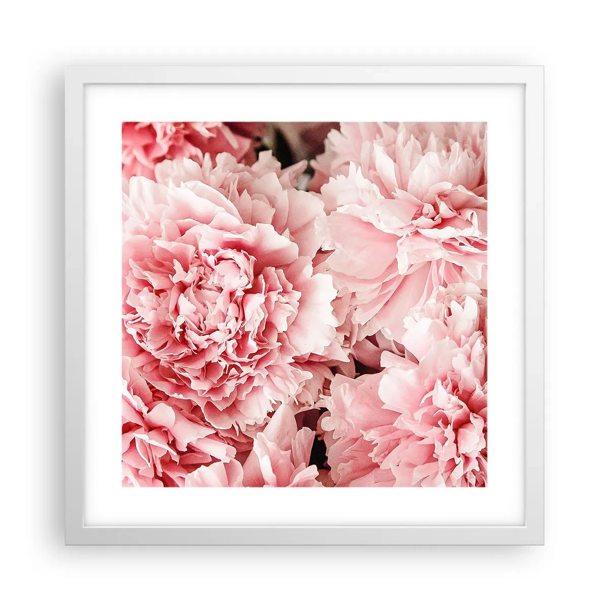 Plakat i hvid ramme - Lyserød drøm - 40x40 cm