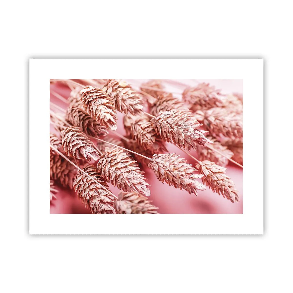 Plakat - Blomsterkaskade i lyserødt - 40x30 cm