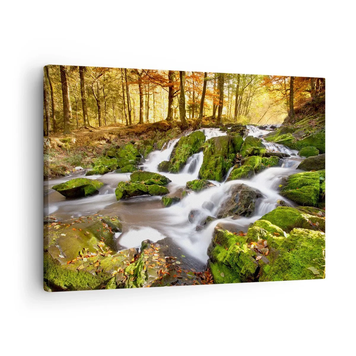 Lærredstryk - Billede på lærred - Et skovklædt landskab med et vandfald omgivet af mos - 70x50cm - Bystrøm gennem efterårsskoven - Moderne vægdekoration til stue og soveværelse ARTTOR