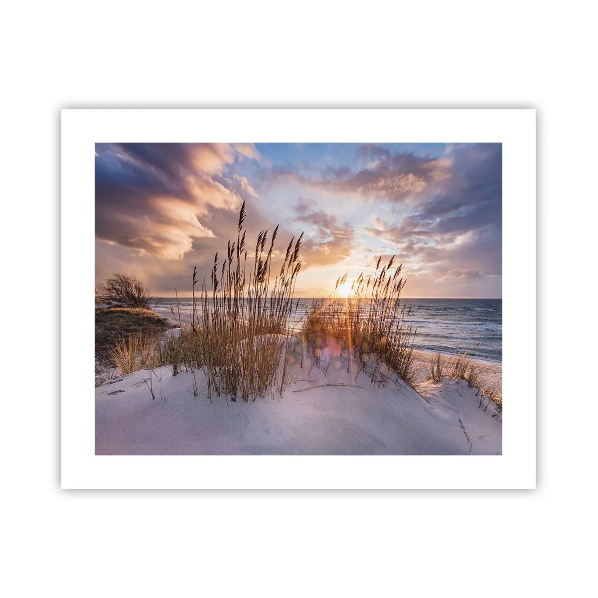 Plakat - Farvel til sol og vind - 50x40 cm