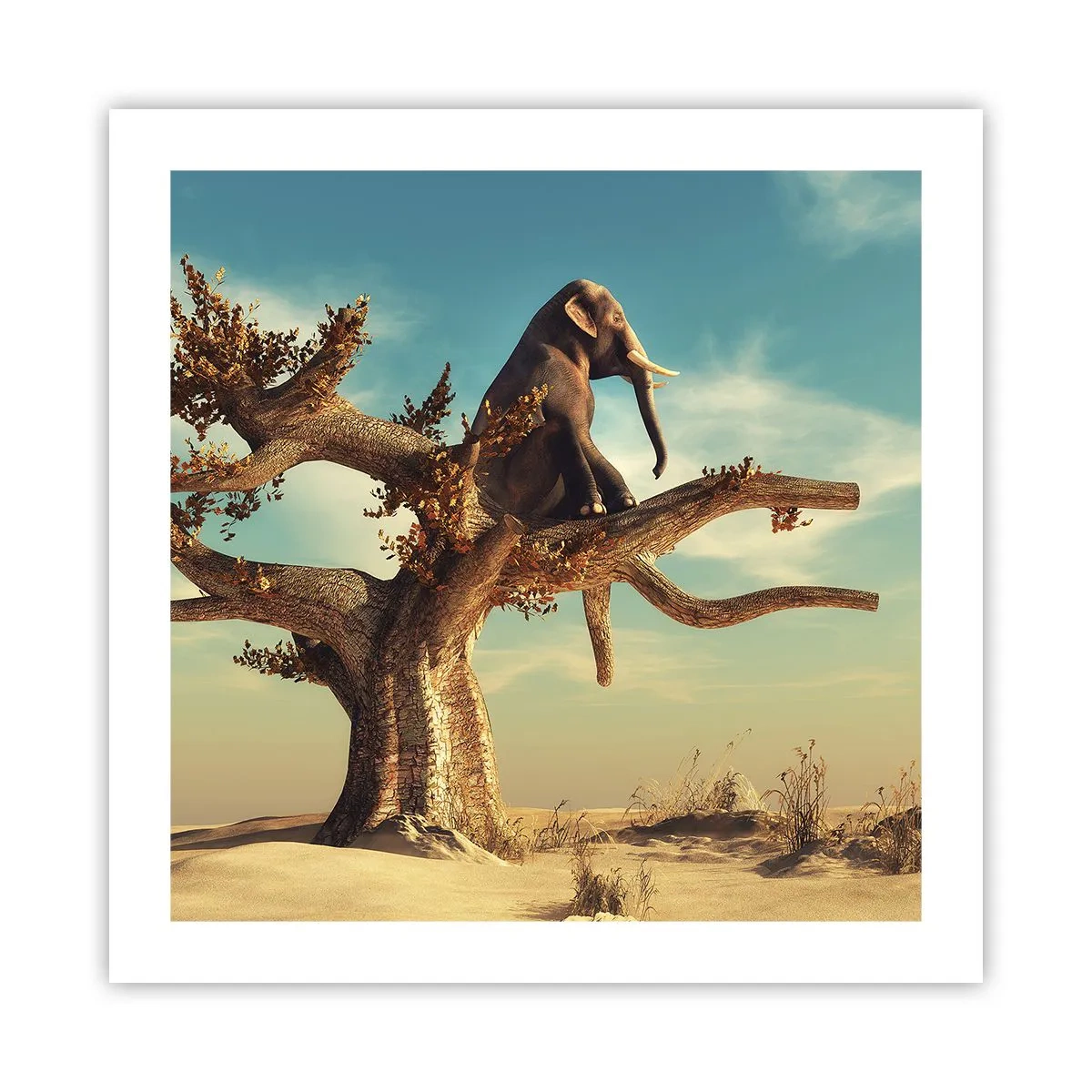 Plakat - Et nyt synspunkt - 50x50 cm