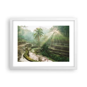 Plakat i hvid ramme - Voksende op i solen - 40x30 cm