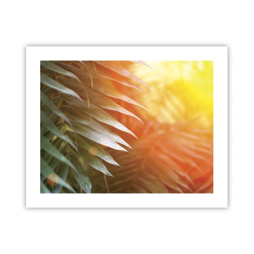 Plakat - Morgen i junglen - 50x40 cm