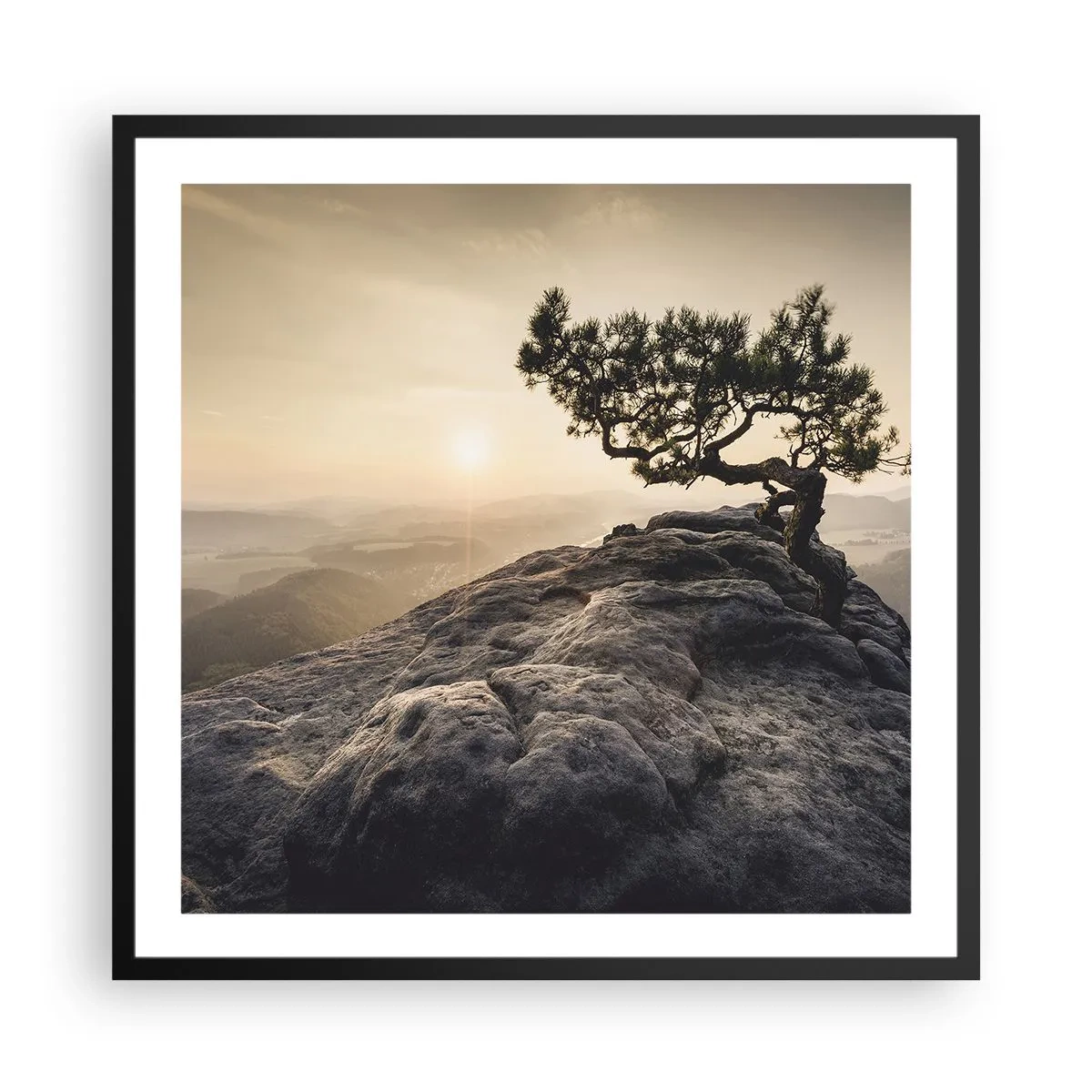 Plakat i sort ramme - Livet vinder altid - 60x60 cm