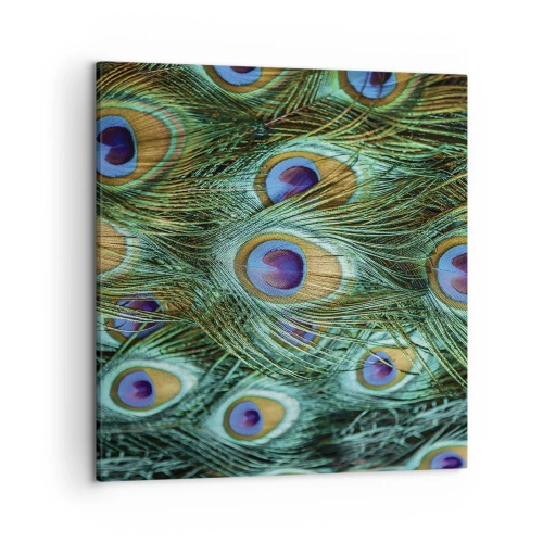 Lærredstryk - Billede på lærred - En påfugls blik - 50x50 cm