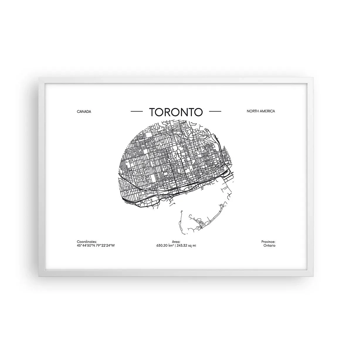 Plakat i hvid ramme - Anatomi af Toronto - 70x50 cm