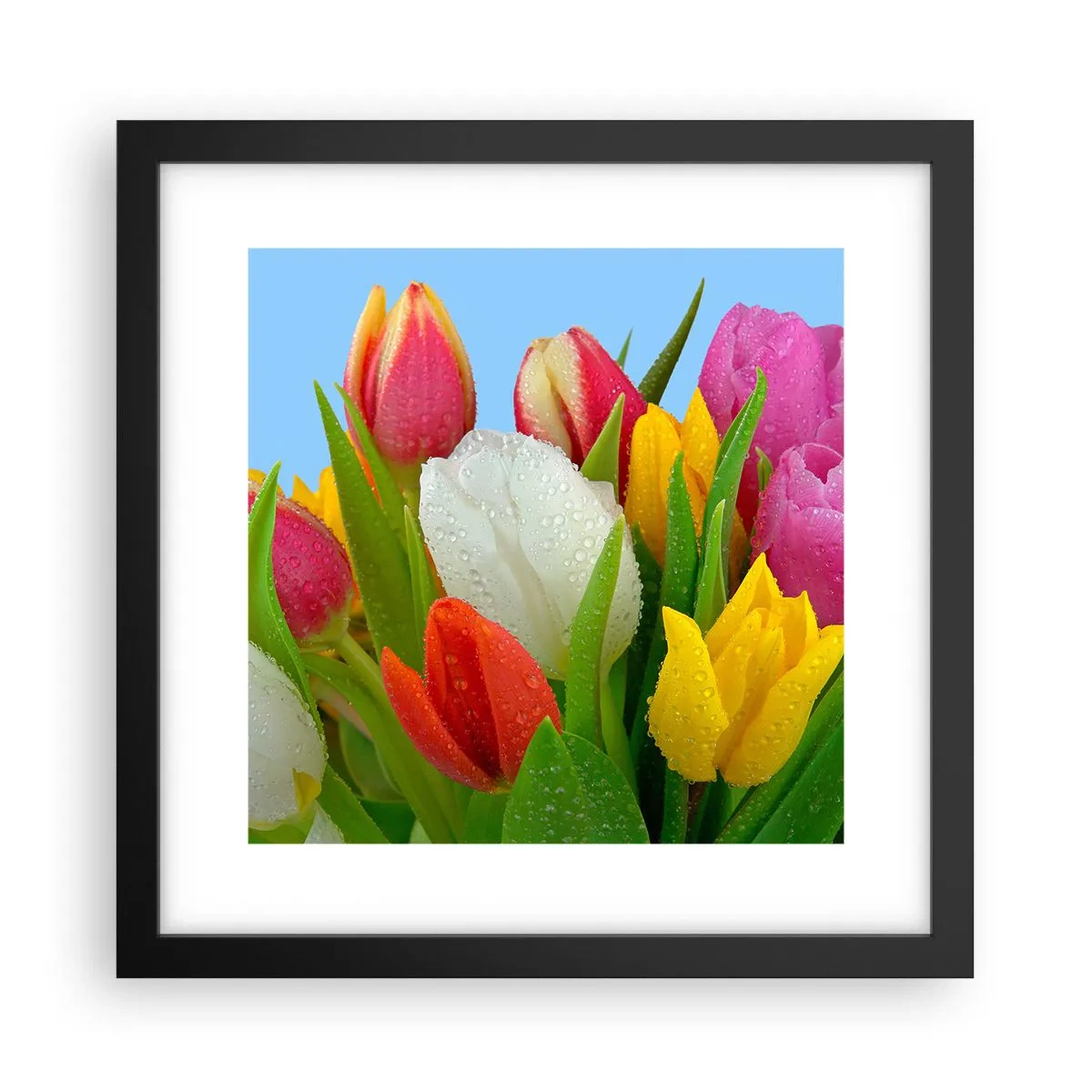 Plakat i sort ramme - En blomstret regnbue i dugdråber - 30x30 cm
