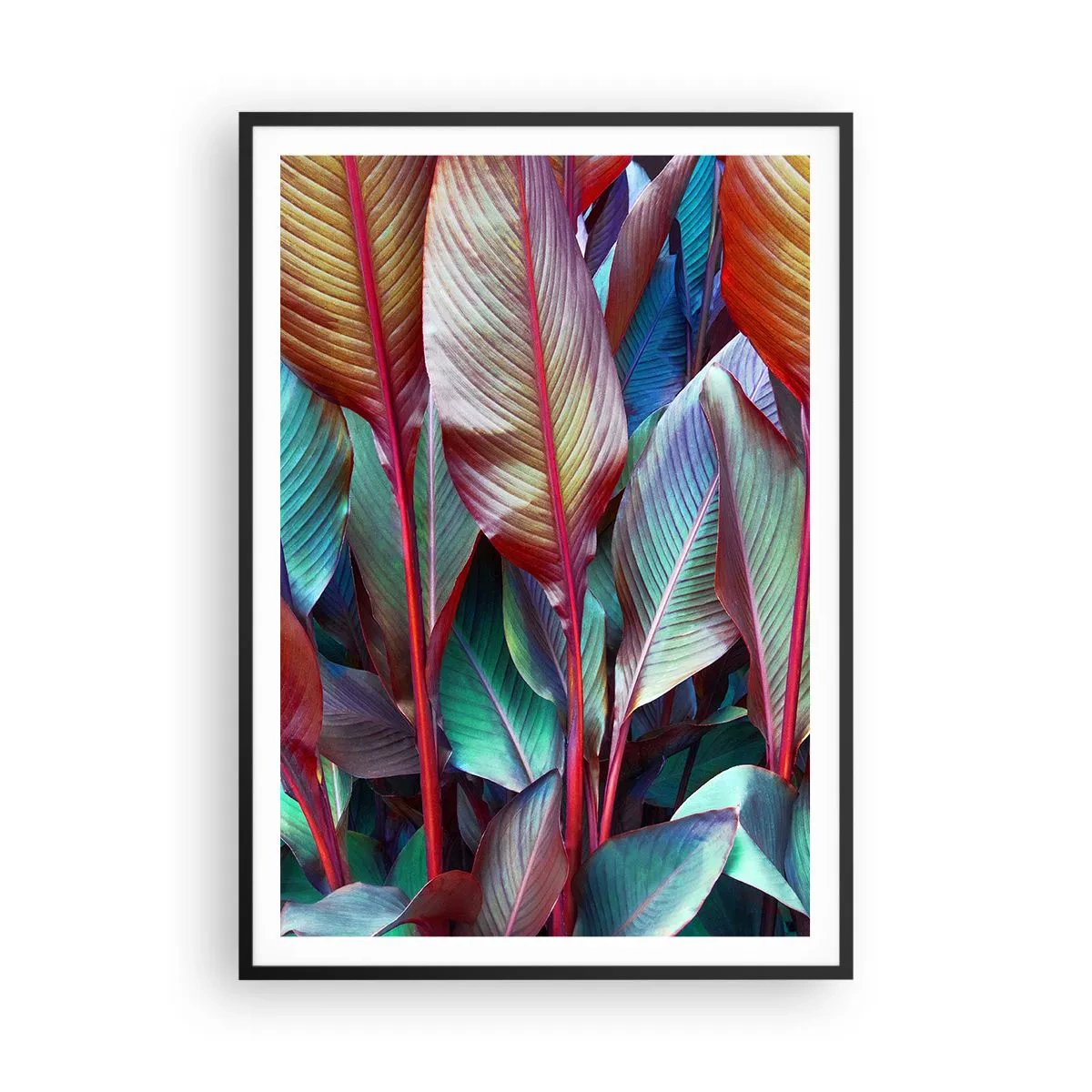 Plakat i sort ramme - Farverigt krat - 70x100 cm