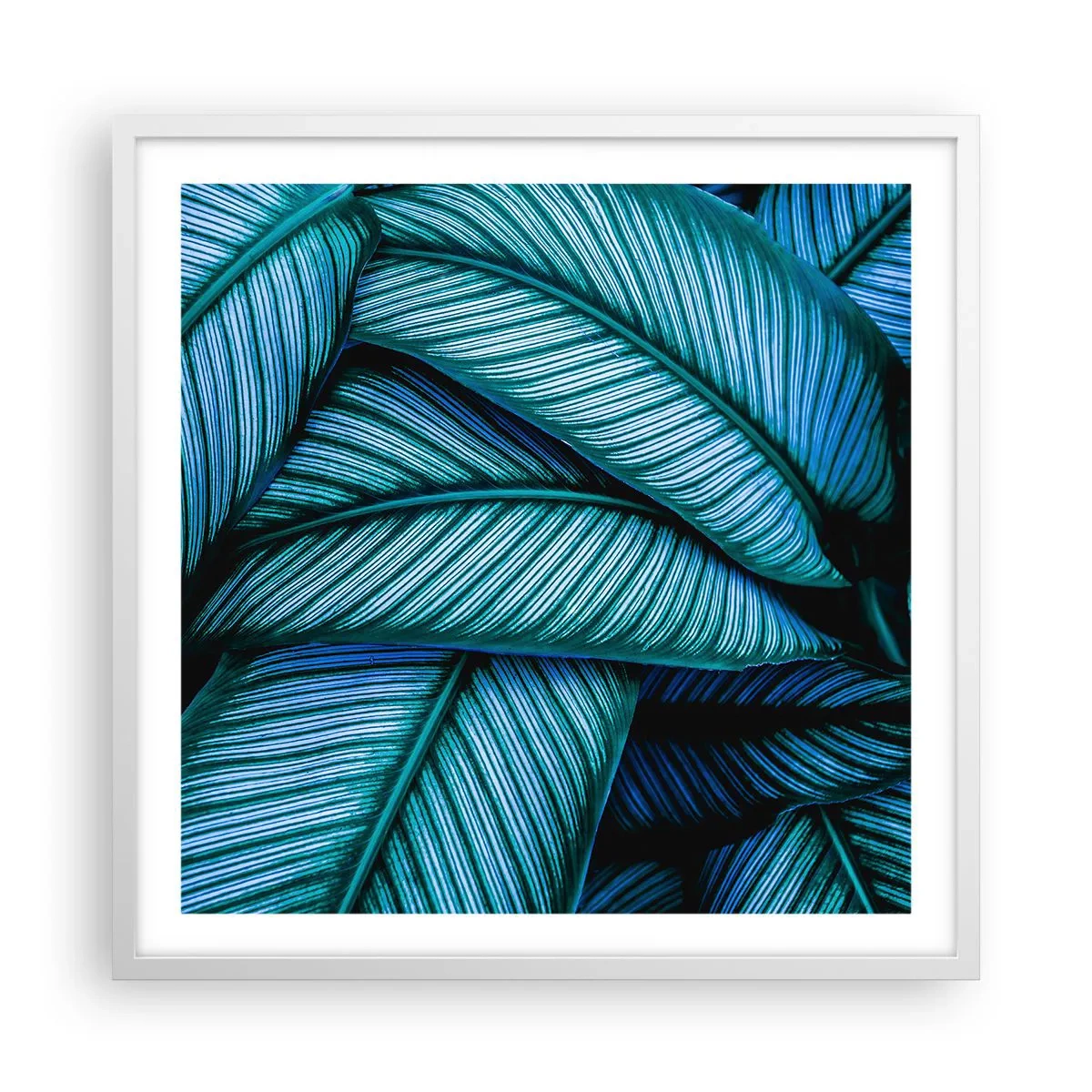 Plakat i hvid ramme - Livslinjer - 60x60 cm