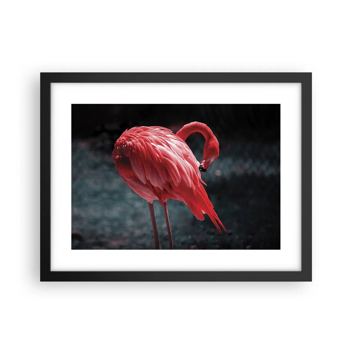 Plakat i sort ramme - Et karmosinrødt naturdigt - 40x30 cm