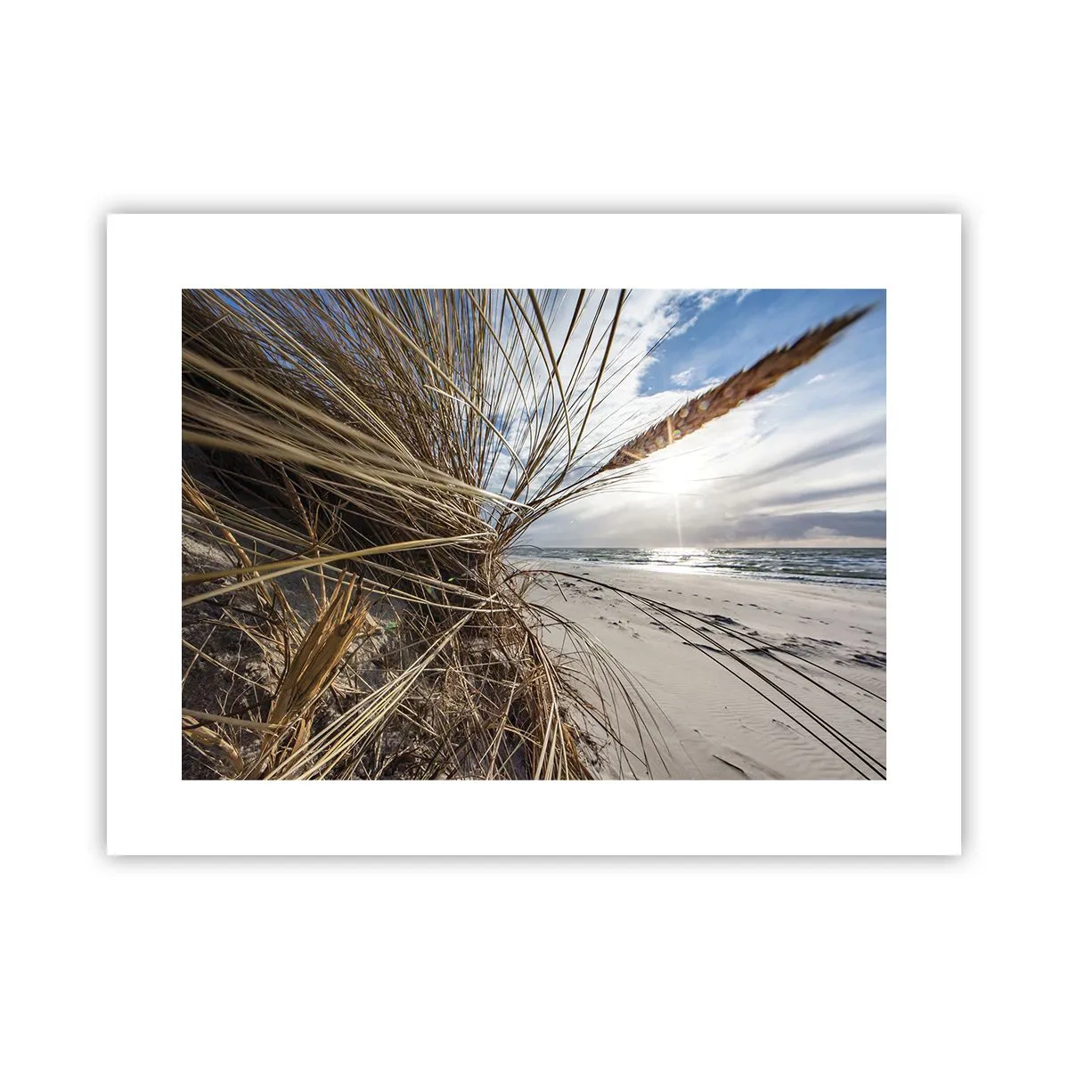 Plakat - Et møde mellem elementerne - 40x30 cm