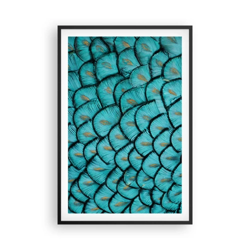 Plakat i sort ramme - Den store fjer-galla - 61x91 cm