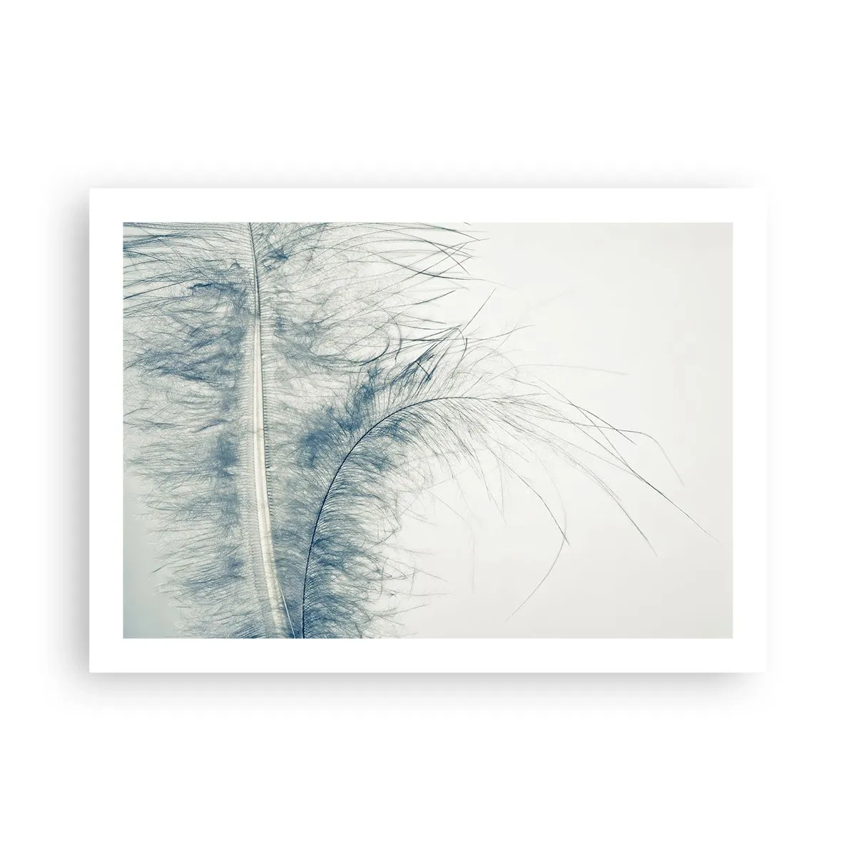 Plakat - Naturens hvisken - 70x50 cm