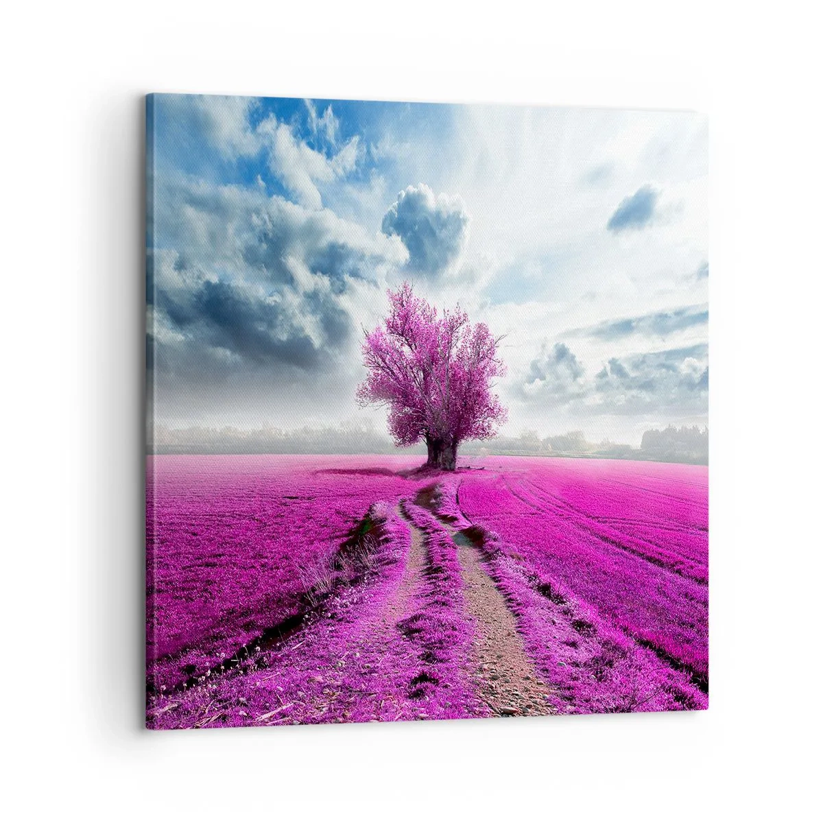 Lærredstryk - Billede på lærred - Hedeslette - charmerende - 60x60 cm
