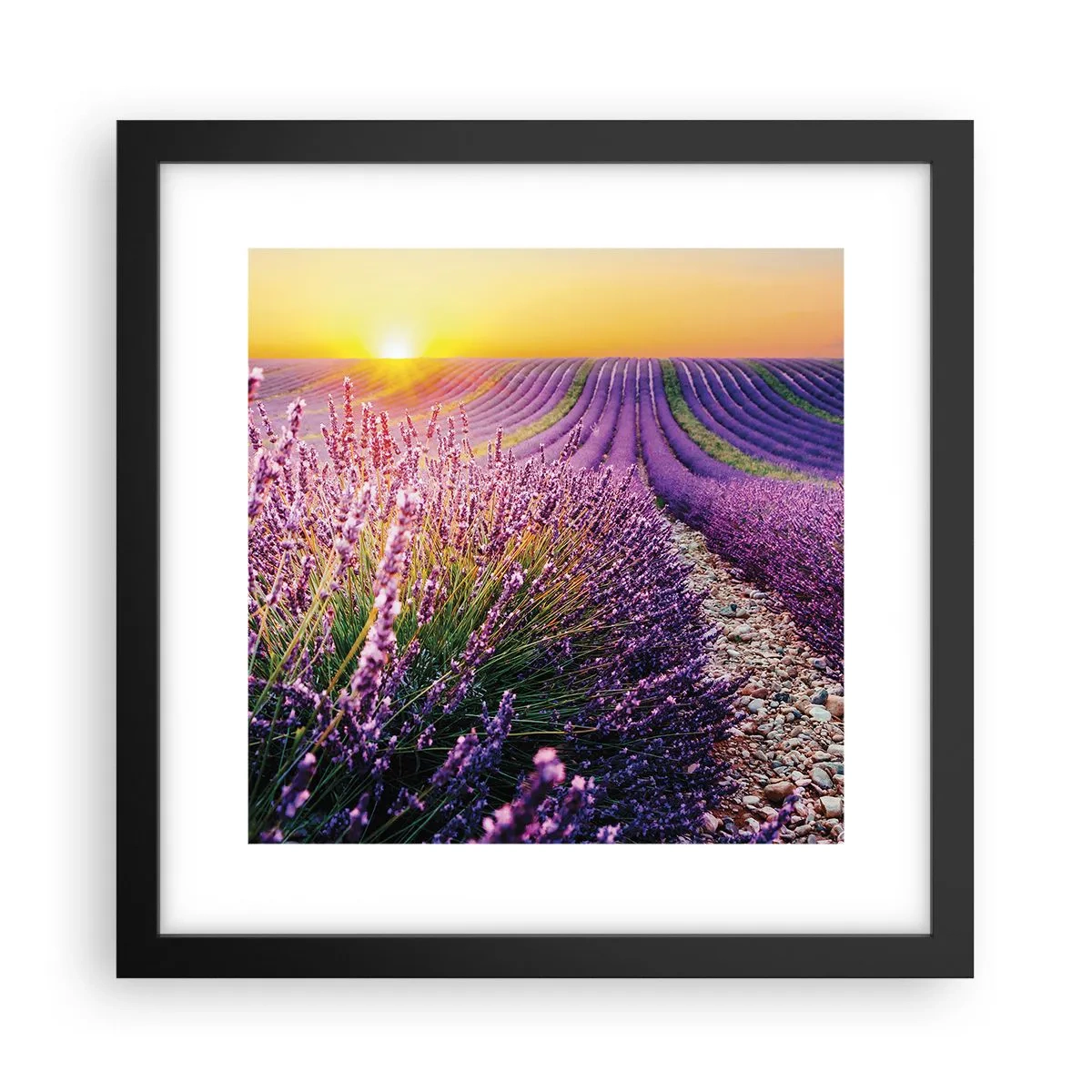 Plakat i sort ramme - Duftende plet - 30x30 cm