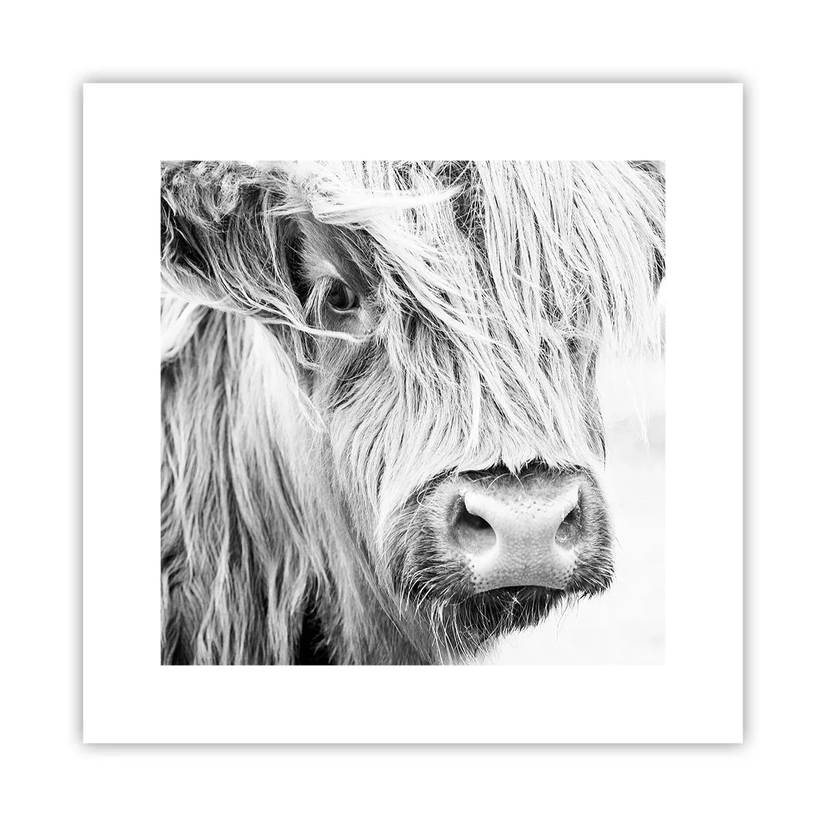 Plakat - Skotsk vildmark - 30x30 cm