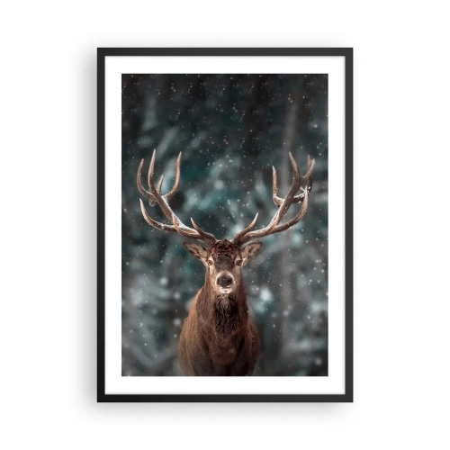 Plakat i sort ramme - Portræt af en hjort med imponerende gevirer mod en vinterskov som baggrund - 50x70cm - Skovens konge kronet - Moderne vægdekoration til stue og soveværelse ARTTOR