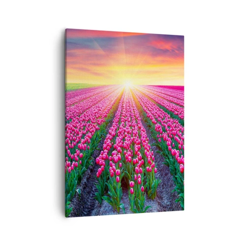 Lærredstryk - Billede på lærred - Skønhedsfarm - 50x70 cm